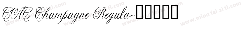 CAC Champagne Regula字体转换